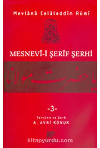 Mesnevii Şerif Şerhi 3