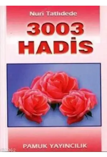 3003 Hadis (Hadis-002)