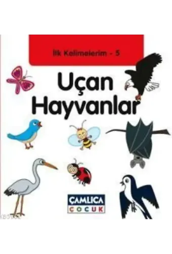 Uçan Hayvanlar; İlk Kelimelerim 5