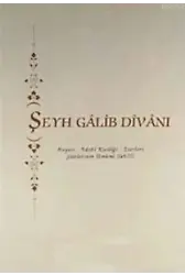 Şeyh Galip Divanı; Hayatı - Edebi Kişiliği - Eserleri - Şiirlerinin Umumi Tahlili