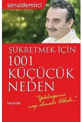 Şükretmek İçin 1001 Küçücük Neden