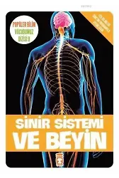Sinir Sistemi ve Beyin; Popüler Bilim - Vücudumuz Dizisi 9, 9+ Yaş