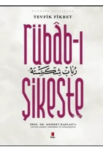 Rübab-ı Şikeste