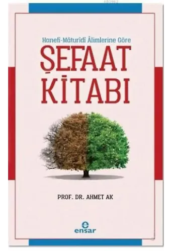 Şefaat Kitabı; Hanefi - Maturidi Alimlerine Göre