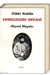 Cemaleddin Efgani - Siyasi Hayatı