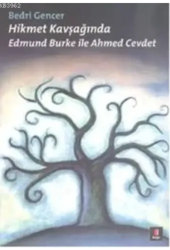 Hikmet Kavşağında; Edmund Burke ile Ahmed Cevdet