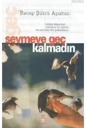 Sevmeye Geç Kalmadın