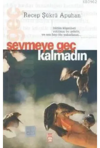 Sevmeye Geç Kalmadın