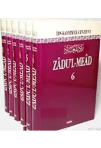 Zadu'l Mead Tercümesi (6 Cilt Takım); Resulullah'ın (s.a.v.) Yolunda