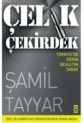 Çelik Çekirdek; Türkiye'de Derin Devletin Tarihi