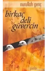 Birkaç Deli Güvercin