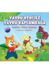 Yavru Kedi İle Yavru Kaplumbağa