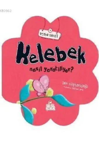 Kelebek Nasıl Yaratılıyor?