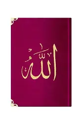 Hafız Boy Kadife Mealli Yasin Cüzü (Pembe, Nakışlı)