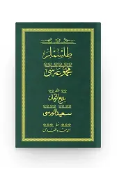 Tılsımlar - Yeşil (Yazı Eseri Cildi)
