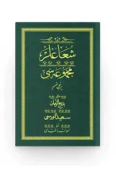 Şualar 1 - Yeşil (Yazı Eseri Cildi)