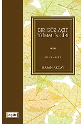 Bir Göz Açıp Yummuş Gibi | Hasan Akçay