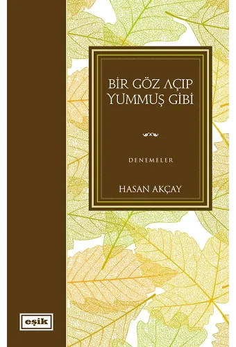 Bir Göz Açıp Yummuş Gibi | Hasan Akçay