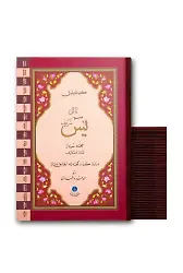 41 Yasin-i Şerif Cüzü Orta Boy (Mealli, Genişletilmiş, Fihristli)