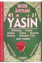 Secde Ayetleri 41 Yasin