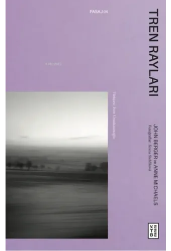 Tren Rayları