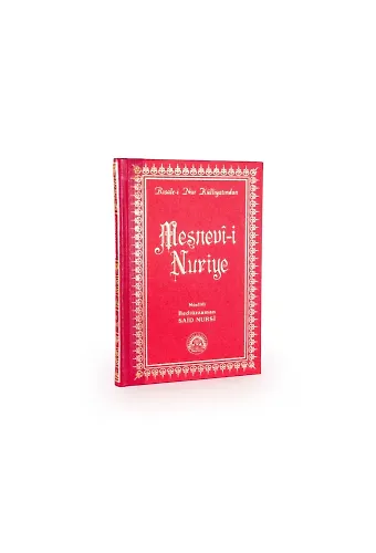 Mesnevî-i Nuriye Orta Boy Sırtı Deri