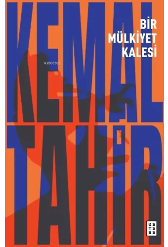 Bir Mülkiyet Kalesi