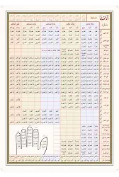 Emsile Bina Şeması Ali Kara