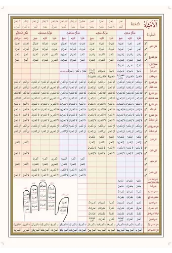 Emsile Bina Şeması Ali Kara