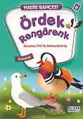 Ördek Rengarenk - Hadis Bahçesi 8