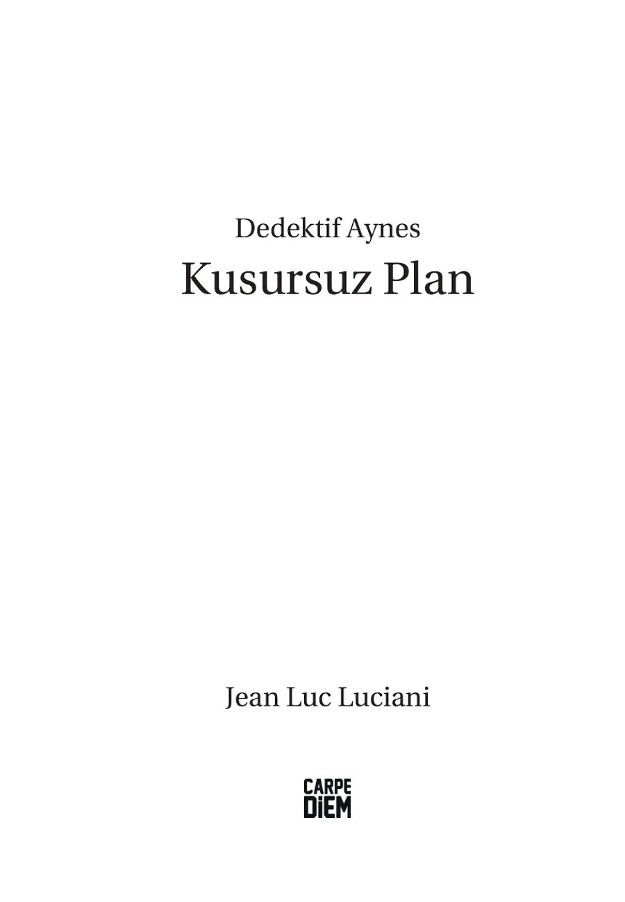 Kusursuz Plan - Dedektif Aynes – Sayfa 3
