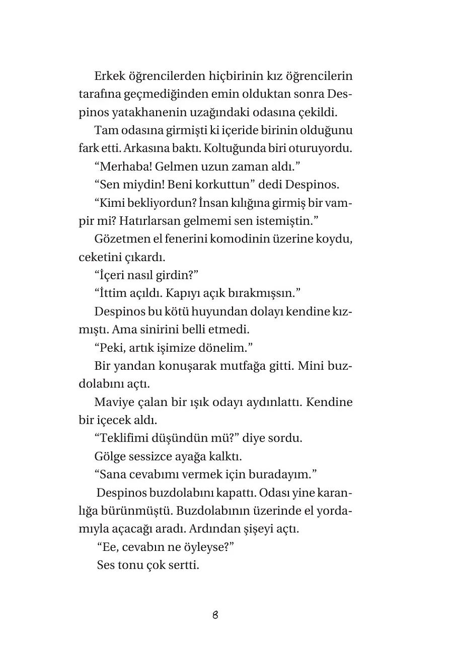 Kusursuz Plan - Dedektif Aynes – Sayfa 6