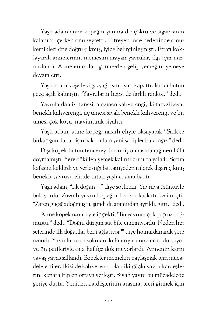 Hayal Kurmaya Cesaret Eden Köpek – Sayfa 2
