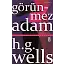Görünmez Adam