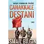 Çanakkale Destanı