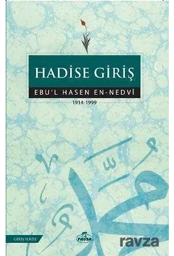 Hadise Giriş