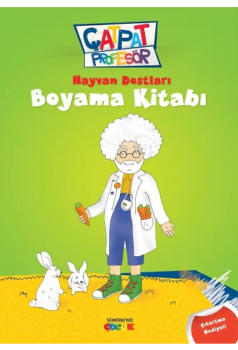 Çatpat Profesör Hayvan Dostları Boyama Kitabı - Hasan Nihat Sütçü