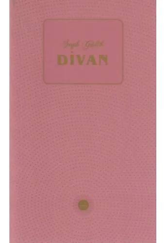 Şeyh Galib Divanı (Dib)