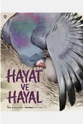 Hayat Ve Hayal