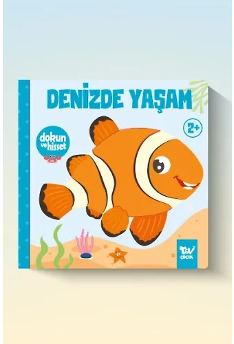 Dokun Ve Hisset Denizde Yaşam