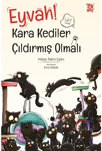 Eyvah Kara Kediler Çıldırmış Olmalı