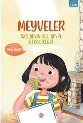 Meyveler Sağ Beyin Sol Beyin Etkinlikleri