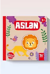 Dokun Dinle Aslan