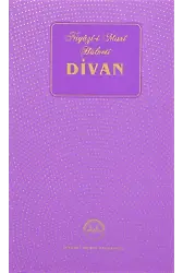 Niyazi Mısri Halveti Divan