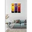 Çiçek Art 3lü Mdf Tablo